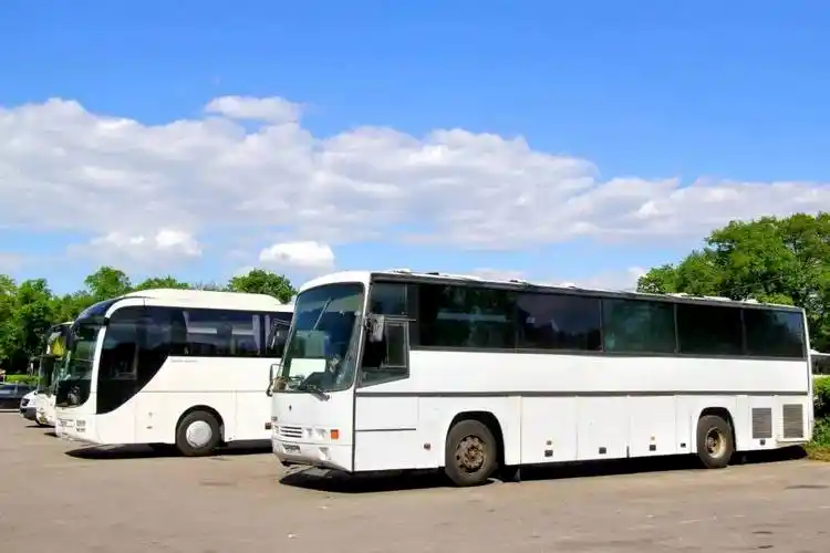 1740703939271.jpg